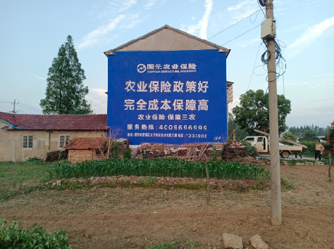 双峰墙体广告的优劣势你知道吗？